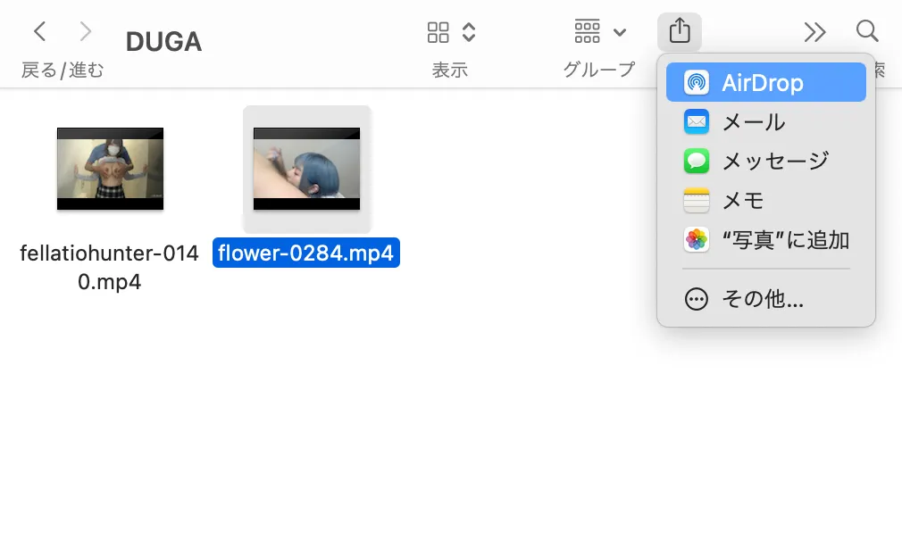DUGAでダウンロードした動画ファイル